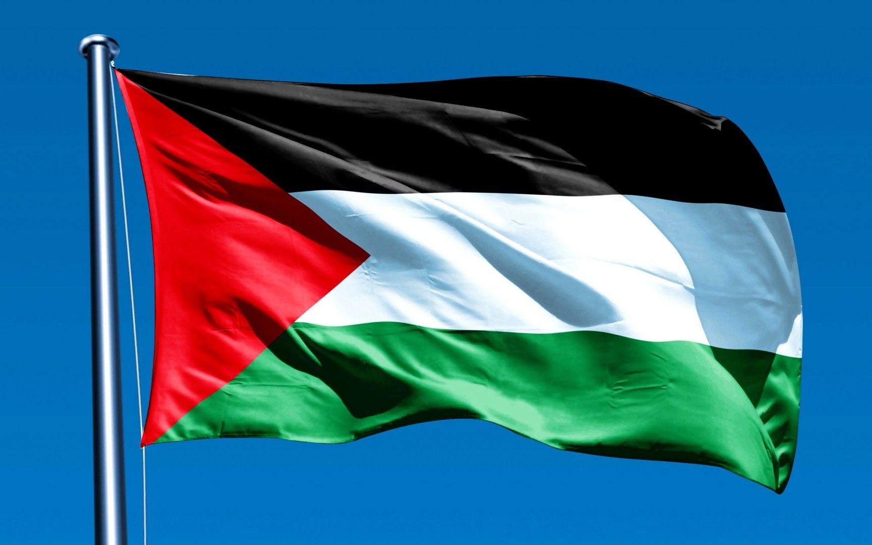 palestinian flag